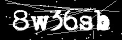 图形验证码